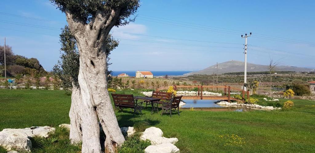 Adayel Bagevi&Butik Otel Bozcaada Dış mekan fotoğraf